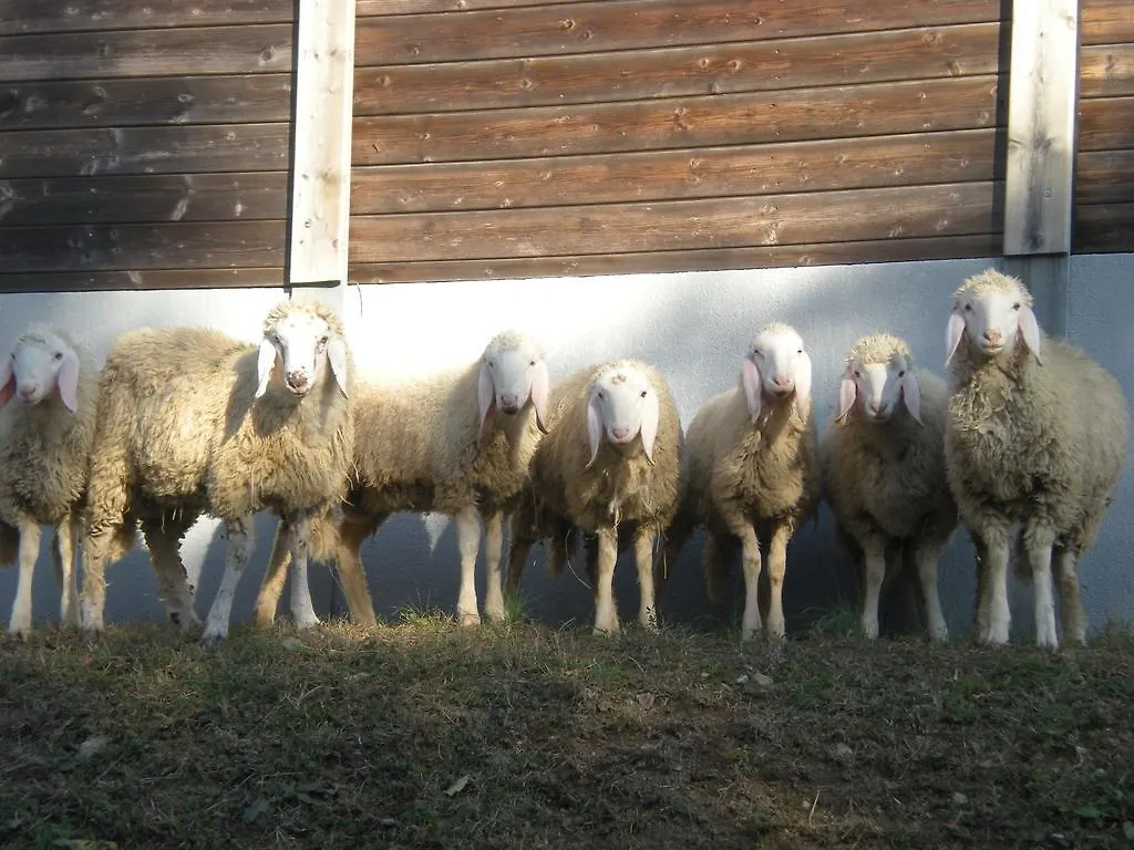 Agriturismo Ae Noseare トッリ・ディ・クアルテゾーロ
